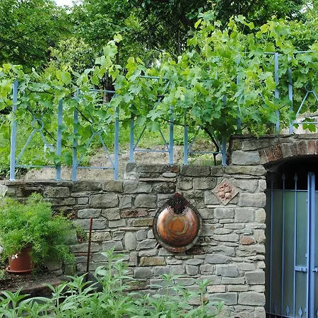 Guest house Alle Rive Bed'N'Books Apt Calamandrana