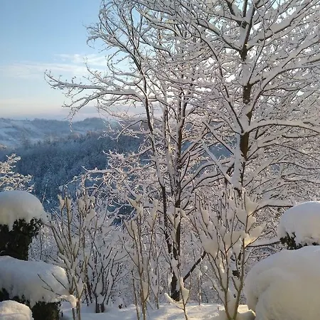 Affittacamere Alle Rive Bed'n'books Apt Calamandrana