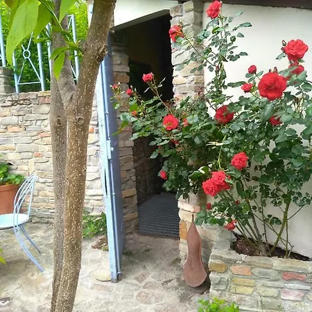 Alle Rive Bed'N'Books Apt Guest house Calamandrana