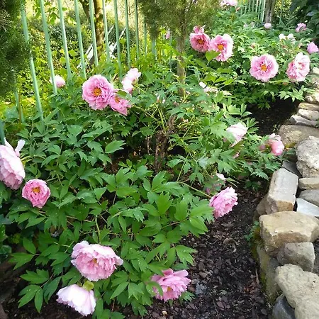 Guest house Alle Rive Bed'N'Books Apt 3*